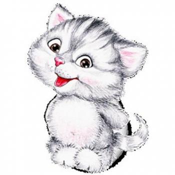 Cute Cat Bathroom Decor