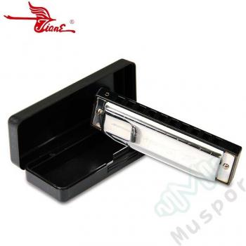 SWAN Silver 10 Holes Diatonic Blues Harp Harmonica Key of G