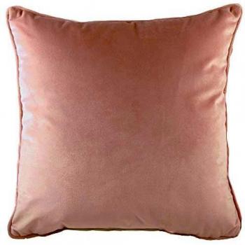 Evans Lichfield Cushion (Plain Velvet, Powder, 43x43cm)