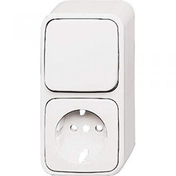 Toma de corriente con interruptor basculante BJ 2601-6 EAP