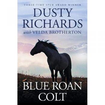 Blue Roan Colt