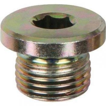 Kit de remplacement : Bouchons de vidange M20x1,5 – 10 pièces