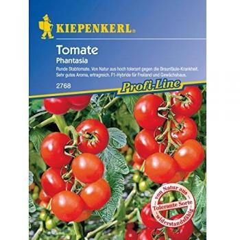 Gemüsesamen, Tomate 'Phantasia', rot