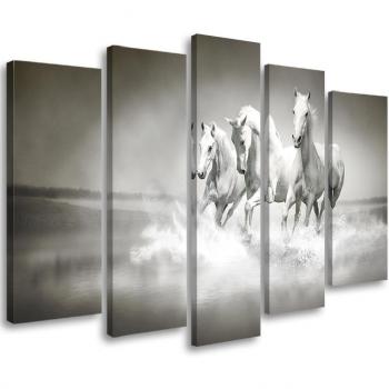 Sérénité Canine en Cinq Cadres – Chevaux Blancs