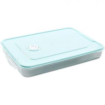 Plastic Dumpling Storage Box for Kitchen Organization