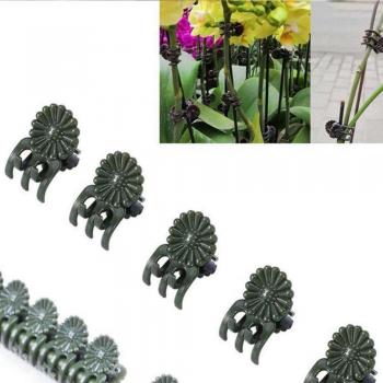 Pinces de jardinage pour branches de vigne