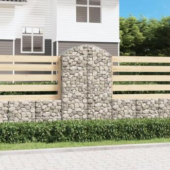 VidaXL Decorative Arched Gabion Basket 100x50x160/180 cm