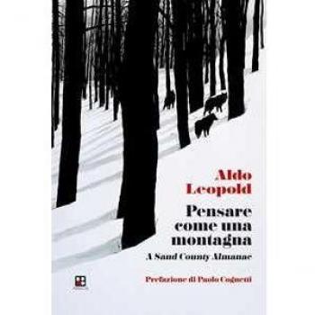 Pensare come una Montagna