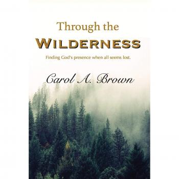 Brown, Carol A.: Through The Wilderness