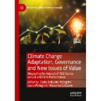 Climate Change Adaptation Governance and New Issues of Value