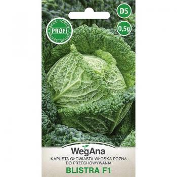 Varza Delicata 0,5 g – Semi di Varza Premium
