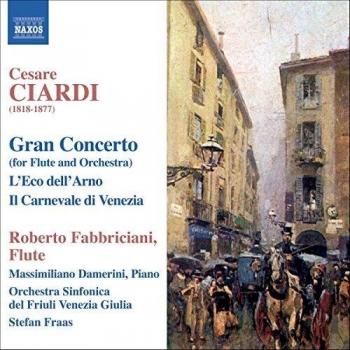 Flauto e Orchestra: Gran Concerto