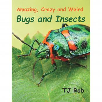 Amazing, Crazy and Weird Bugs and Insects: