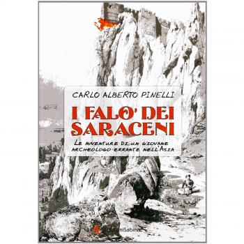 I falò dei saraceni. Le avventure di un giovane archeologo errante nell'Asia