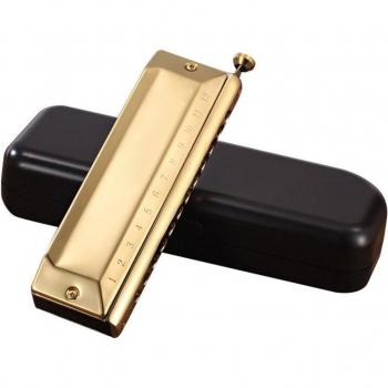 Diatonic Blues Harmonica in C