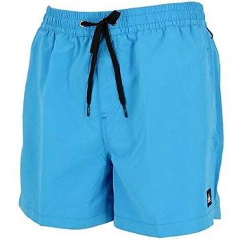 Quiksilver Men's Everyday Swim Shorts