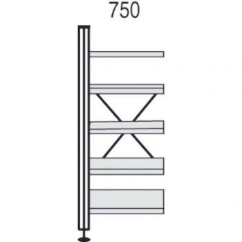 Bibliotheksregal Buche 75x30x193cm