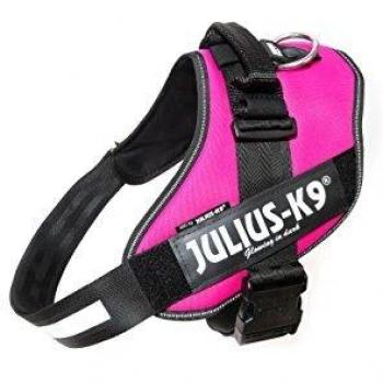 Julius K9 IDC Power Harness Size 3 Dark Pink Fuchsia 82-115cm