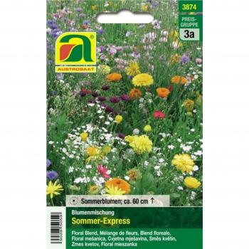 AUSTROSAAT Mélange de Fleurs Sommer Express