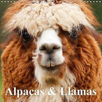 Alpacas & Llamas 2017: Beautiful Animals of South America