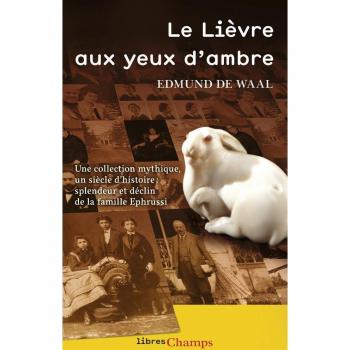 Le Lièvre aux yeux d'ambre