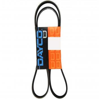DAYCO 8PK1375HD Keilriemen