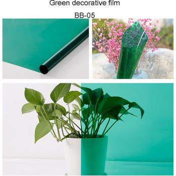 GreenShield Sunice Film Solaire 50x300 cm