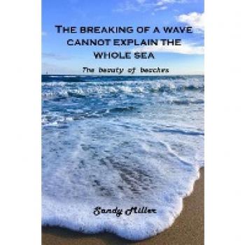 Sandy Miller: The breaking of a wave cannot explain the whole sea