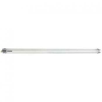 Sylvania ToLEDo T8 4 ft 20W 2000 Lumen Cool White LED