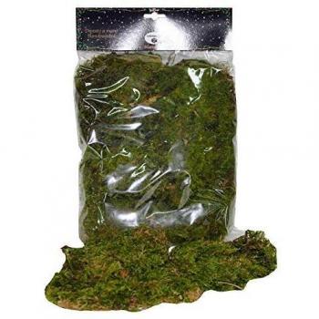 Muschio Decorativo 30x30