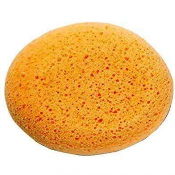 Spugnetta Idrifilica 0955