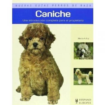 Caniche