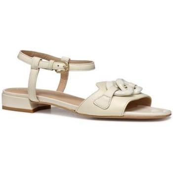 Spartoo Modelli Chic