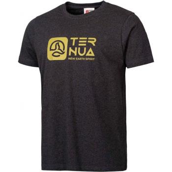 Camiseta Masculina Ailik Ternua – Gris Ballena XL