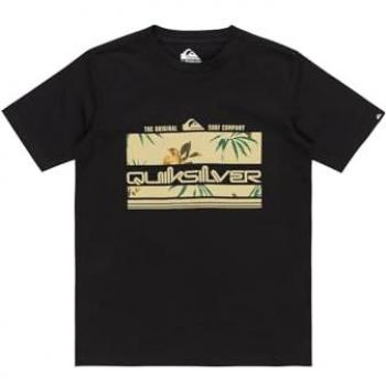 Camiseta Quiksilver Manga Corta Niño 8-12 años