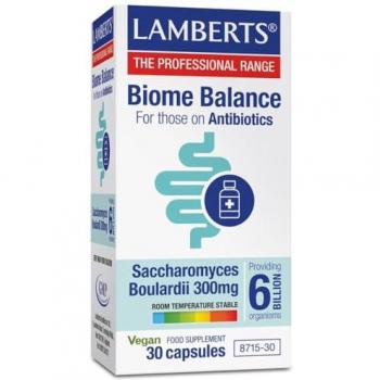 Lambert’s Antibiotic Ally 300 mg – 30C