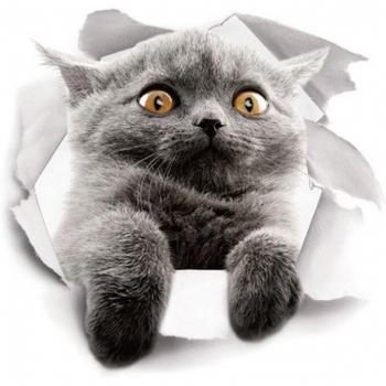 Vivid Animal Toilet Wall Decals