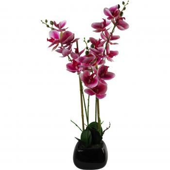 Elegant 70cm Dark Pink Orchid in Black Ceramic Pot