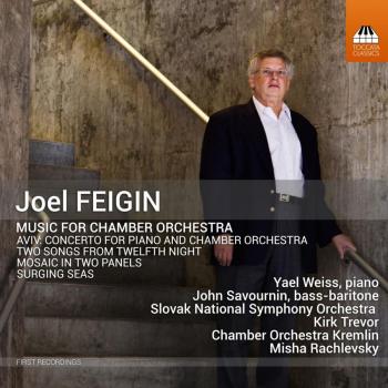 Chamber Orchestra by Joel Feigin