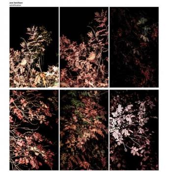 Solidification/inclus 2 dvd/livre