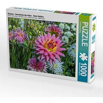 CALVENDO Puzzle Blumen