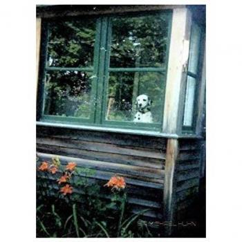 Dalmatian cabin creative blank journal