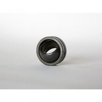 GE100-DO Palier radial pivotant INA