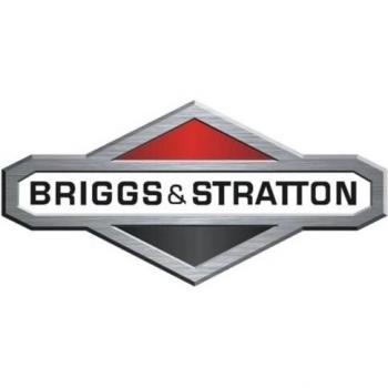 Tapa de Derivación del Filtro de Aceite del Motor Briggs & Stratton 807689