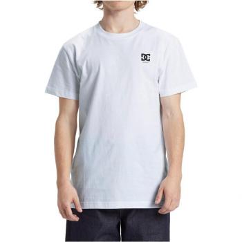 Camiseta DC Shoes Statewide manga corta blanco puro