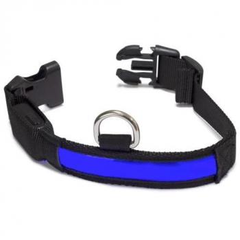 Collar Iluminado Azul para Perros de Arquivet (talla 28-40cm/2,5cm)