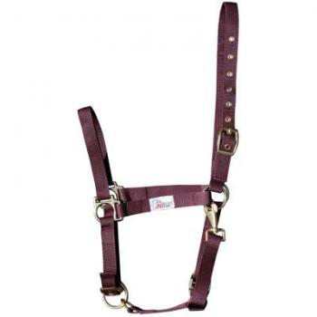 Lot de 3 licols Harry's Horse Bordeaux Full