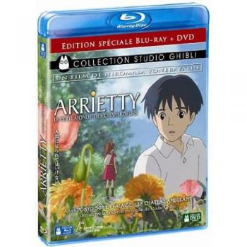 Arrietty : Le petit monde des chapardeurs