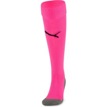 Puma Liga Core Endurance Socks