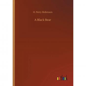 A Black Bear